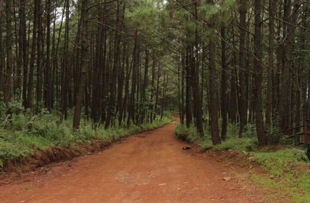 Los Venados Mazamitla Exterior foto